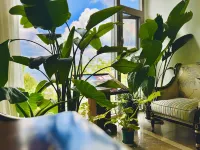 Yutian · Linhai Hetang Vacation Apartment (Dali Erhai Park High Speed Railway Station)