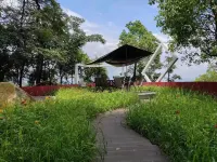Looking for a mountain viewing season in Chongqing Hotels near Shapingba