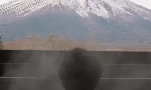 Mt Fuji View and Private Sauna Ryokan Shizuku(No accommodation for 12 years old and below)