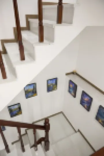 Shanshui Danqing Chinese Inn