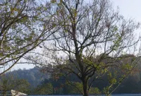 Shuibang Impression Hotel - Mountain view