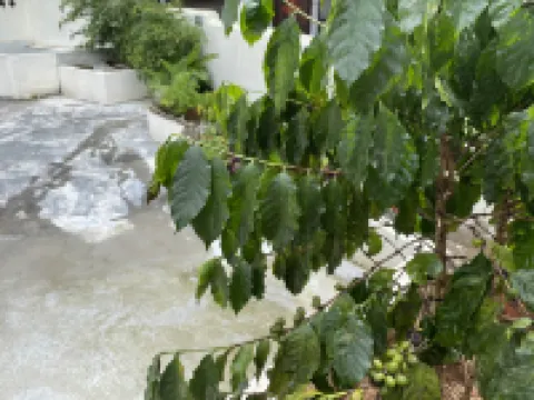 Leyisu Hostel Hotels in 