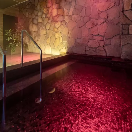 Solaria Nishitetsu Hotel Sapporo