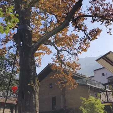 Shitai Yuansheng Suji Homestay