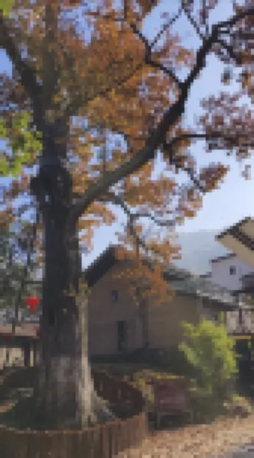 Shitai Yuansheng Suji Homestay