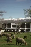 Daye · Songshan Homestay (Nalati Scenic Area)