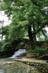 Anji Youxing Courtyard Zhuxi Swim Café Mountain Boutique Stay - pemandangan pegunungan