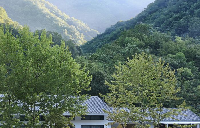 Yinju Xiangli Zuoshouxiang Homestay