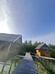 Kombrof Homestay Raja Ampat & Dive Center - 早餐