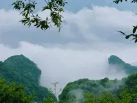 Qinyang Orange Hotel