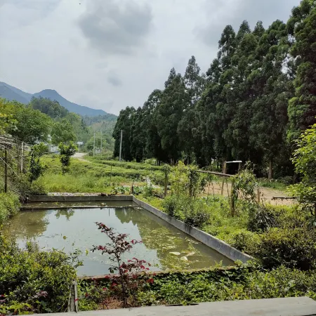 Jiulian Mountain Yunwu Mountain Residence