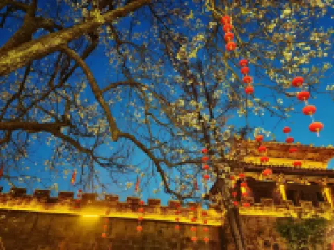 Guangyuan Jieguanting Chinese Inn
