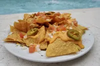 더 페어윈드 호텔 마이애미 비치 호텔