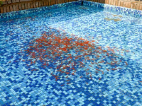 Linzhou Tingshan Shuishe XinLing Homestay
