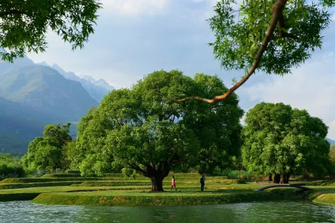 Joy Holiday Lijiang Hotel