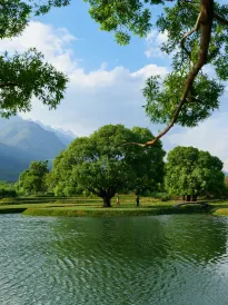 麗江地中海·棠岸リゾートホテル（地中海国際リゾートエリア）