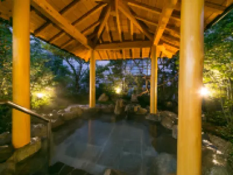 Mutsumikan Hotels in Gero