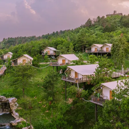 Squirrel Kingdom Forest Homestay