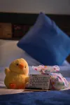 老木棉雲上藝術民宿 - マウンテンビュー