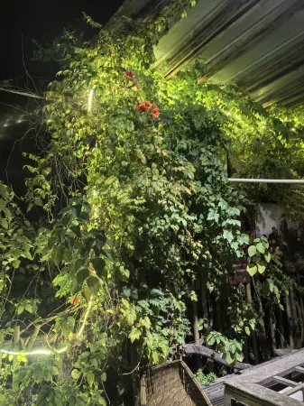 A 001 hotel Liuyang Rainbow Shopping Center store Отели рядом с достопримечательностью «Liuyang River»