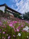 xipi yijiangfang Guzhen Jiayuan Inn