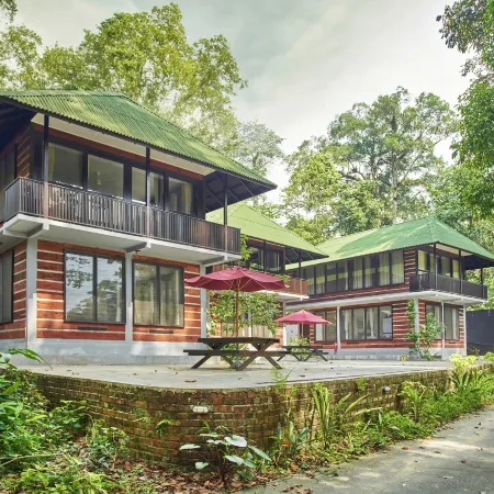 Rompin Rainforest Lodge