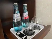 美茵河畔法蘭克福火車總站東橫INN - 3星級