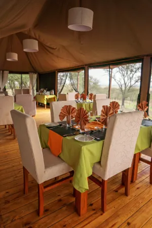 Kenzan Matawi Serengeti camp