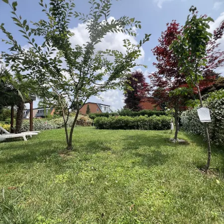 Villa Fiera Millano