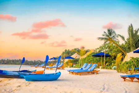 The Maverick Surf and Dive Boutique Hotel Отели в г. Востраў Ган