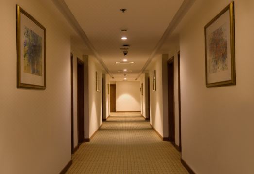 스위스-벨린 도하 이미지