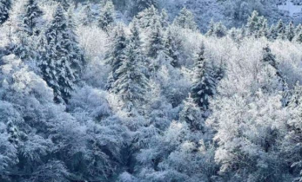 Jiuzhaigou Paguicang Hidden Villa