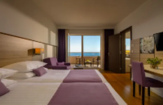 蓬塔 活力酒店 酒店