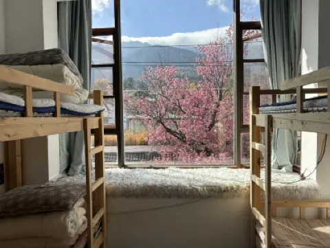 Laura's Hostel Hotels near Peach Stream Resort Dali