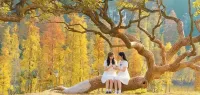 Fengshanxuan Boutique Hoteldd