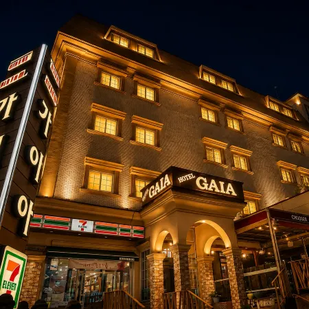 GAIA HOTEL Отели рядом с достопримечательностью «Комплекс Sumokwongil»