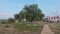 Yangyang Homestay - 주차장