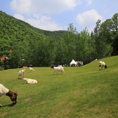 Jingshan Manor Campsite Hotel