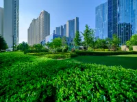 Yuepeng Boutique Apartment (Dalian Harbour Plaza) Hotels in Zhongshan