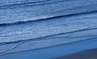 My forest-east sea Beach Resort Homestay - Beach