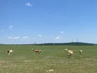 wulantaoligai Các khách sạn gần Hulunber Prairie
