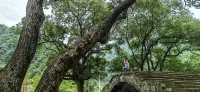 Jiande Lanqing Shiguang B&B - romantici