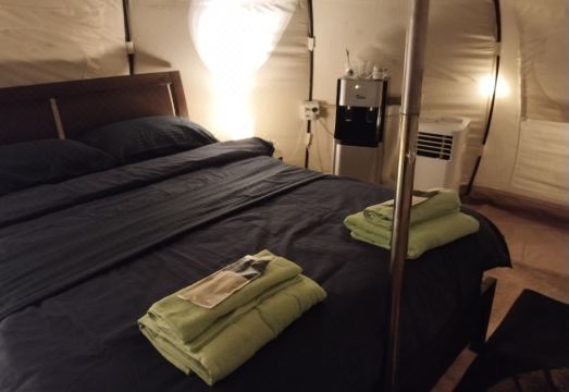 1. 칼리코안 서프 ..