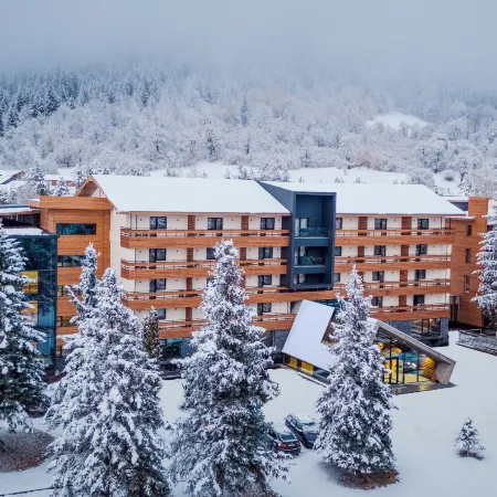 Bakuriani Inn Hotel