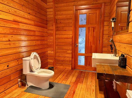 Igri wooden villa