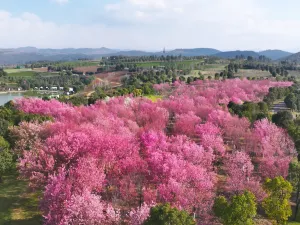 Taiping Lake Forest Chalet Hotel