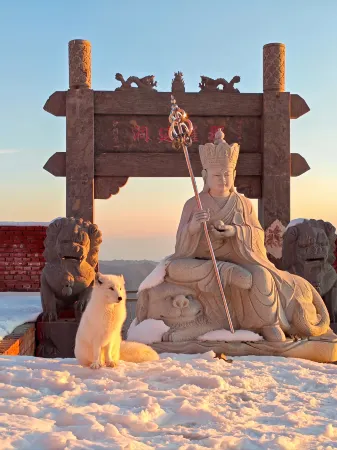 Wutai Mountain Tingfengyin Inn (Wuye Temple Branch) Отели рядом с достопримечательностью «Fanxian Temple»