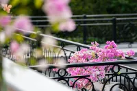 Nankunshan Pera Manor Pella Villa - Fitnessstudio