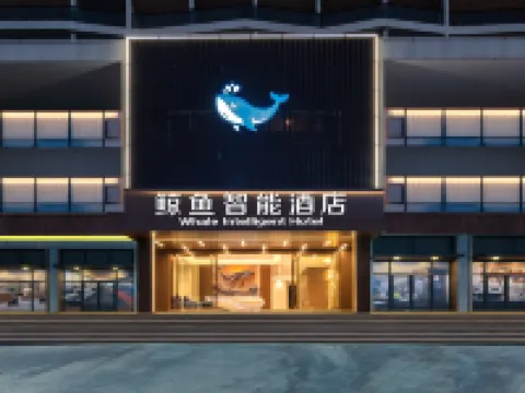 Hailingshan Whale Smart Hotel Hotels in Yangjiang