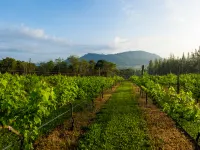 Village Farm & Winery Hotels in Wang Nam Khiao
